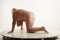 and more Nude Woman White Kneeling poses - ALL Overweight Kneeling poses - on both knees long blond Pinup